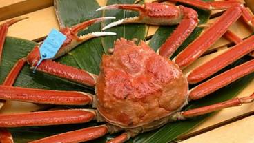 加能蟹 / 7