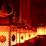 2月・8月は奈良「万灯籠」へ♡約3,000基の燈篭が灯る「春日神社」