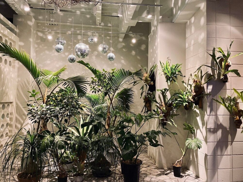 テラス / パティオ