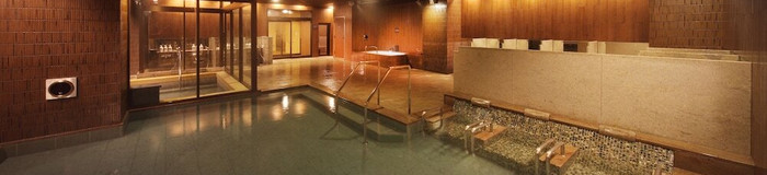 【栃木】ゆったりのんびり、ホテルで温泉ざんまい♪湯めぐりを楽しめる温泉宿5選