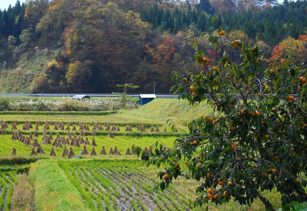 部屋からの景観