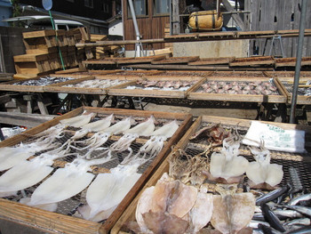 「お魚処 玄海」その他 637527 お土産購入～♪
