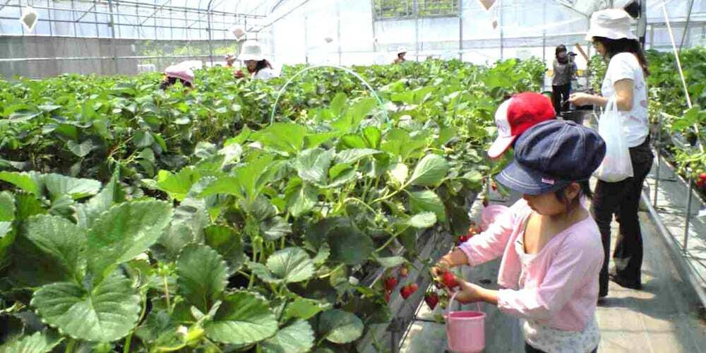 子供向けアクティビティ