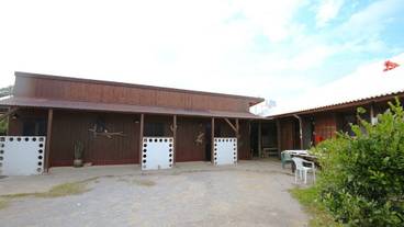 メイン イメージ / 1