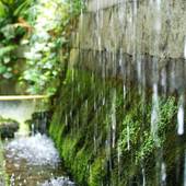 湯の花温泉 松園荘 保津川亭（京都府 旅館） / 4