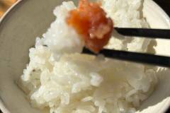 ルアン HOTEL CULTIA 太宰府