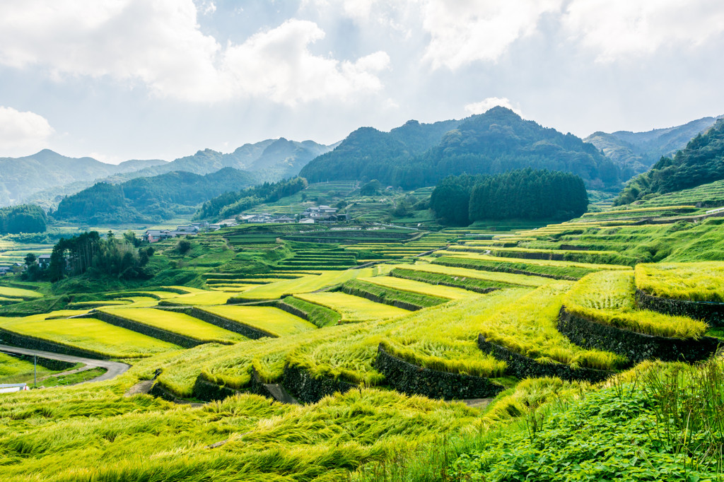波佐見温泉周辺のおすすめスポット②「鬼木棚田」3558946