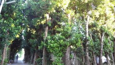 施設からの眺望 / 2