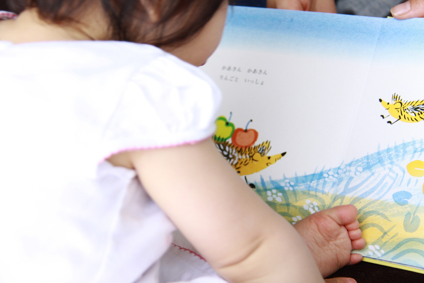 幼児教育 知育 絵本