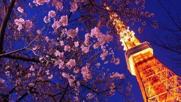 観光スポット / 3