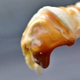 ホロンバイル（ホロンバイル）