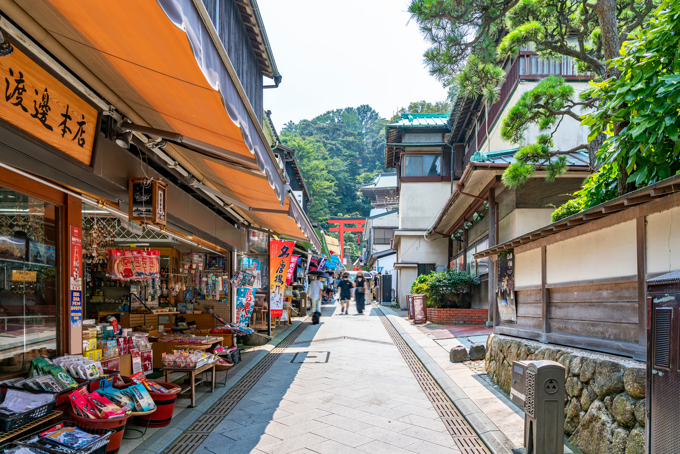 【神奈川県】江島神社へ続く参道の弁財天仲見世通り
