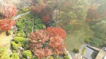 ガーデン ビュー / 15