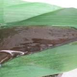 紫野和久傳 銀座松屋店（ムラサキノワクデン）