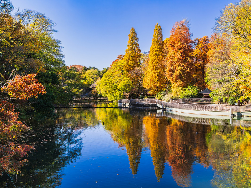 井の頭恩賜公園