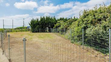 ペット用設備・サービス / 2