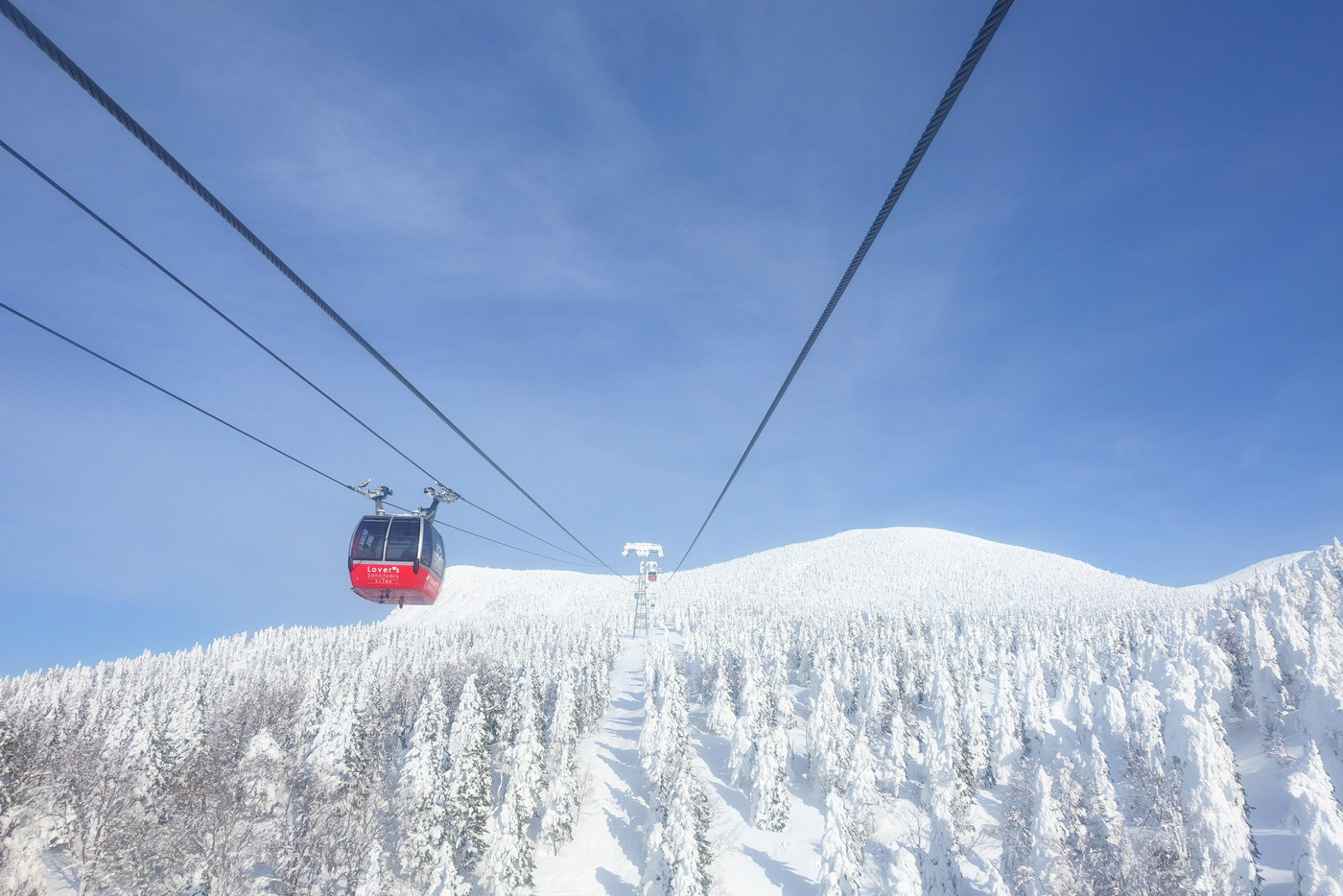 樹氷　霧氷　蔵王