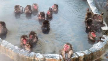 観光スポット / 20