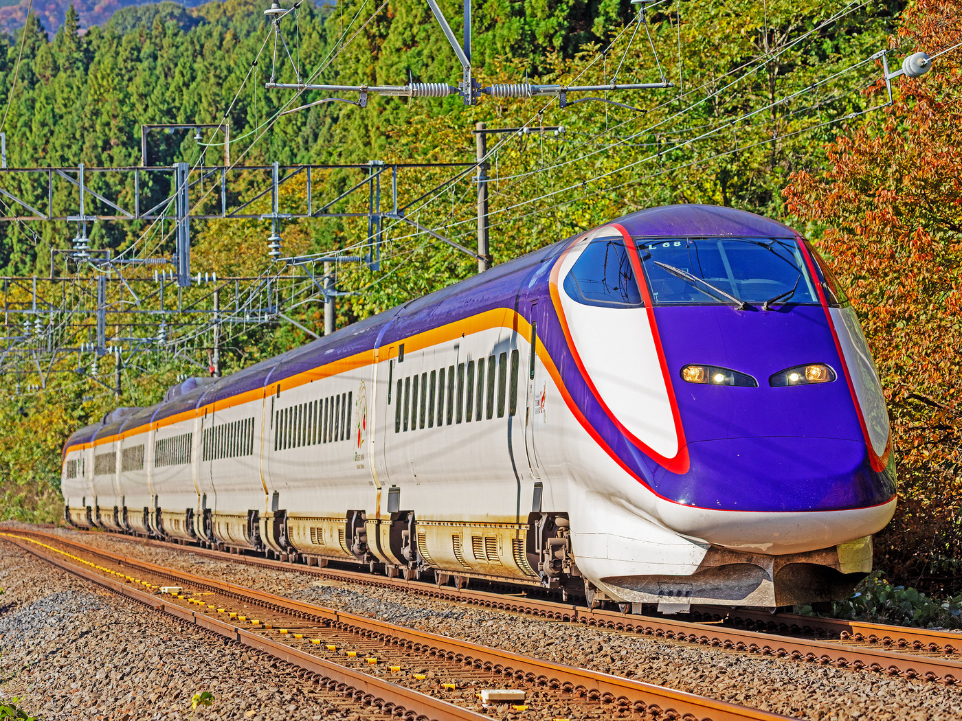 山形には、季節ごとの”山のもの”がたくさん！3638863