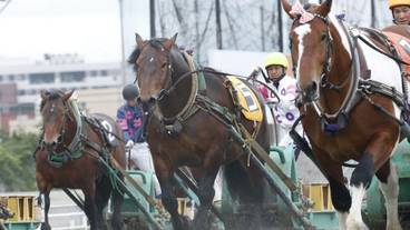 観光スポット / 12