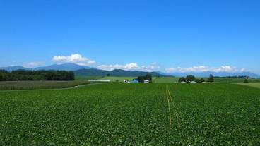 施設の敷地 / 12