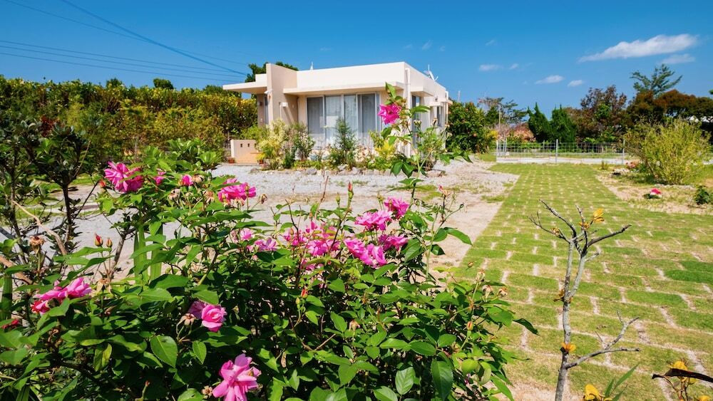 メイン イメージ