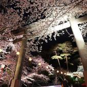 鬼怒川温泉 ホテルハーヴェスト鬼怒川（栃木県 リゾートホテル） / 4