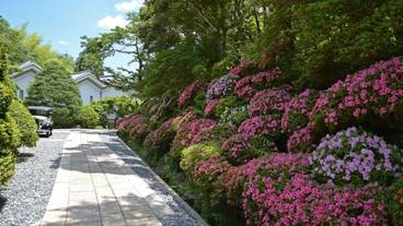 東府やResort＆Spa-Izu（トウフヤリゾートアンドスパ－イズ） / 5