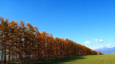 マウンテン ビュー / 32