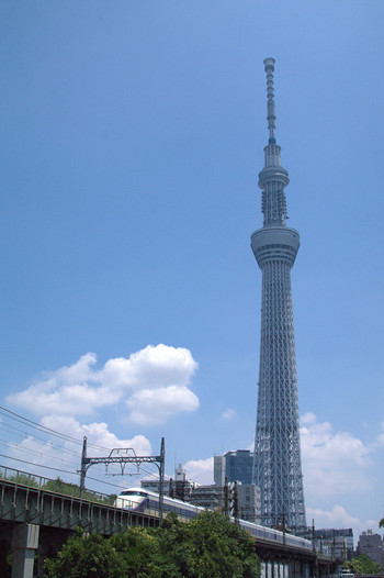 枕橋961544
