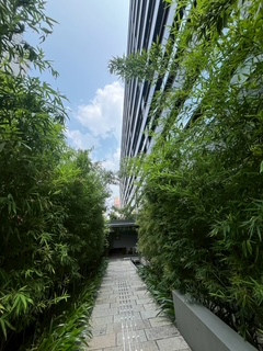 植栽