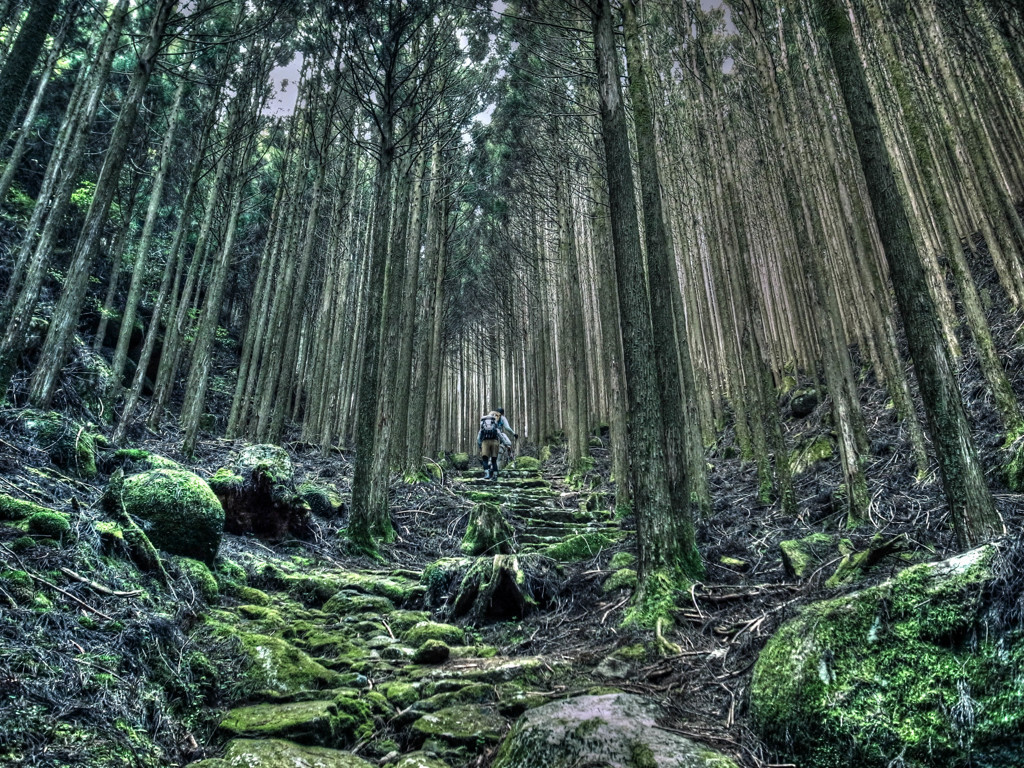めずらしい世界遺産の「道」3535943