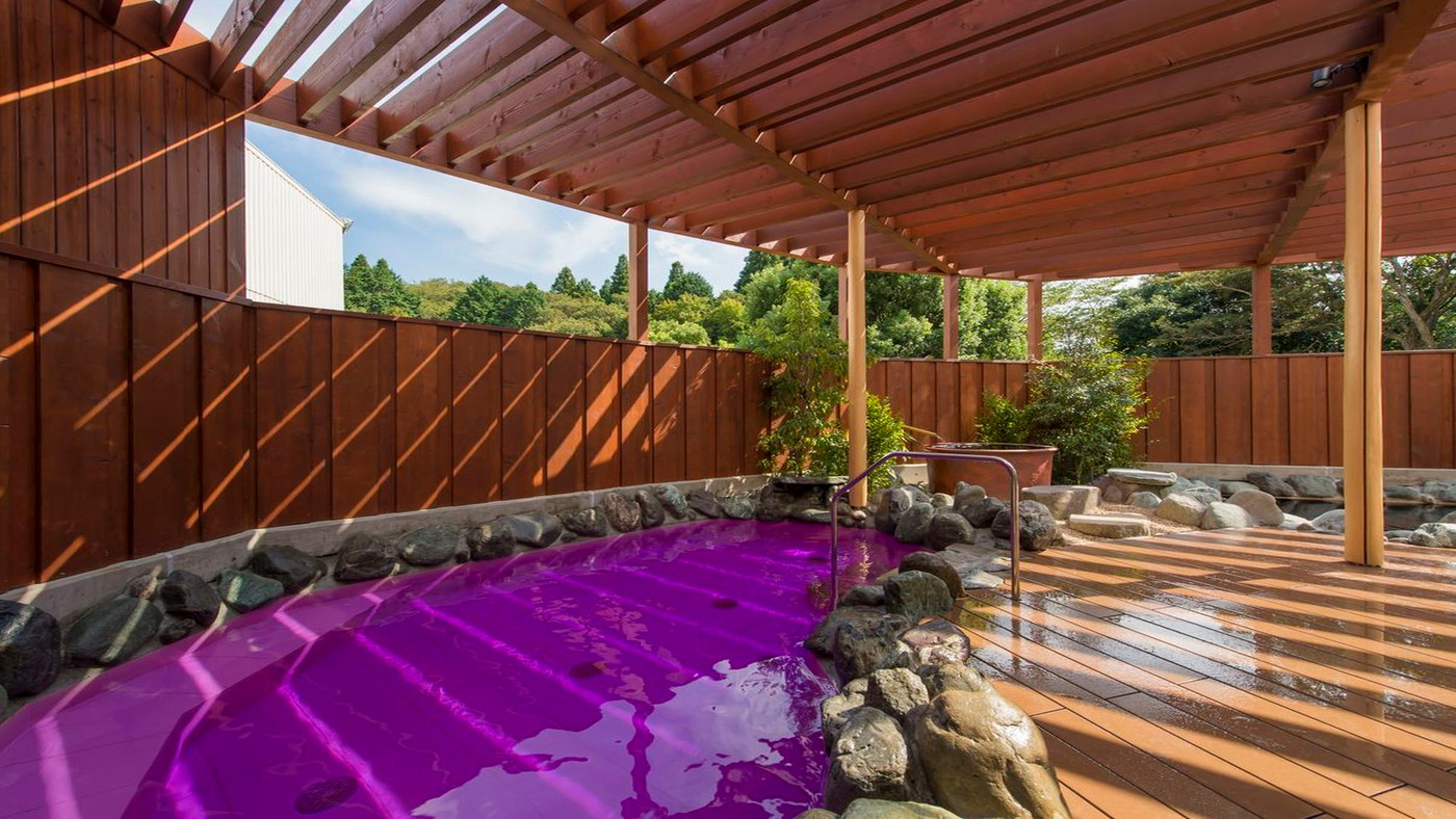 天然温泉でのんびり。食事はバイキングでお好きなものを4281283