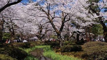 シティ ビュー / 12