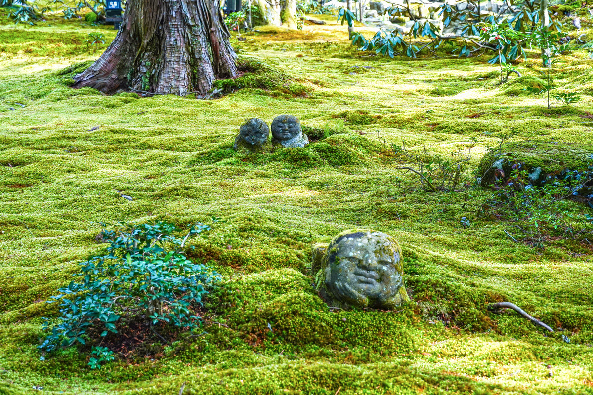 大原三千院 庭園