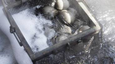 施設内の設備 / 15