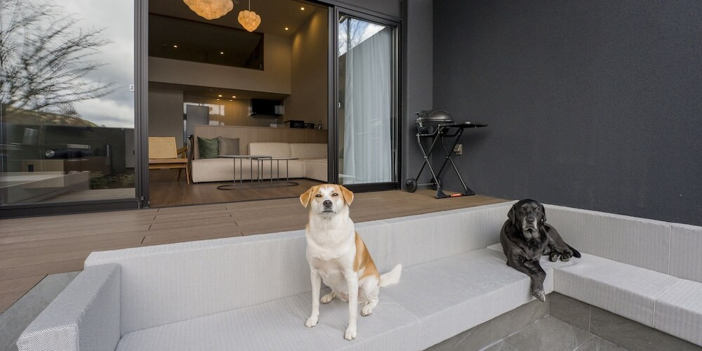 テラス / パティオ