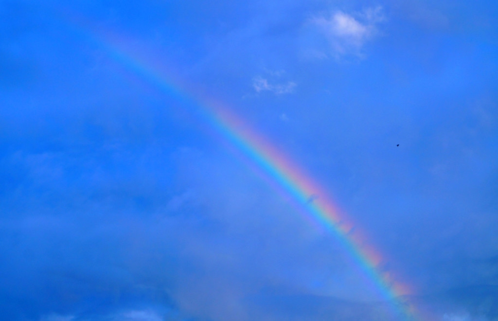 いくつになっても大好き♡泊まりがけでディズニーを満喫3354138