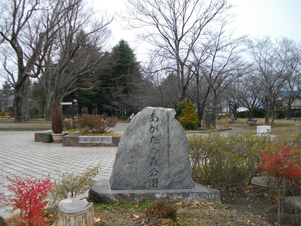 新緑が輝く「あがたの森公園」1070369