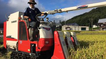 施設の敷地 / 24