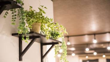 内装の詳細 / 11