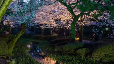 観光スポット / 10