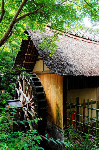 深大寺水車館1018261