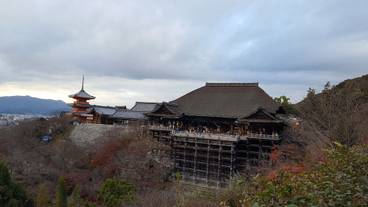 観光スポット / 25