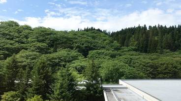 部屋からの景観 / 21