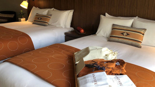 ラグジュアリー ヴィラ (15時チェックイン-10時チェックアウト)ご到着日15時からご出発日10時までご滞在(1室4名様でご利用の場合、リビングにエキストラベッド1台をご用意いたします)