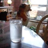 珈琲館 蔵(クラ)