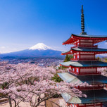 これぞ日本の美。富士山と桜がキレイな山梨「新倉富士浅間神社」