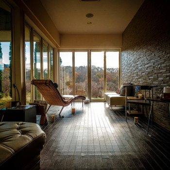 「ナチュラルリゾートハイジア」 内観 96185671 