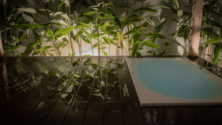 ガーデンヴィラ 129平米/テラス含 禁煙